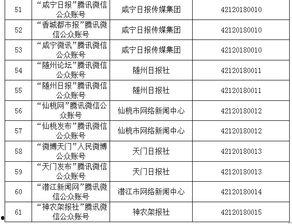 孝感爆料新闻最新消息今天,敬请关注! 第2张 孝感爆料新闻最新消息今天,敬请关注! 第2张